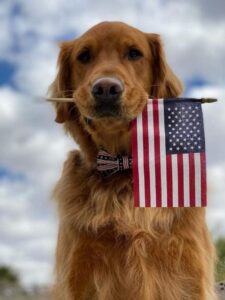 Rescue Dogs For Heroes, Non-Profit, Dog Rescue, Heroes, Hero, Veteran, First Responder, Military, Service Member